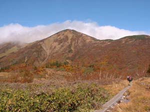 �V��̒납��ΑŎR